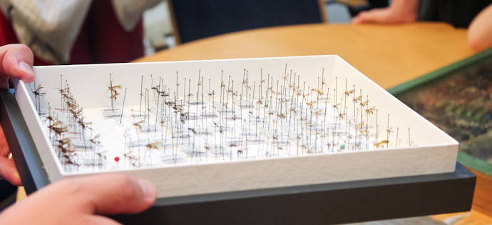 Kuva: Eeva-Maria Soikkanen